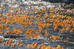 Rubber Ducky