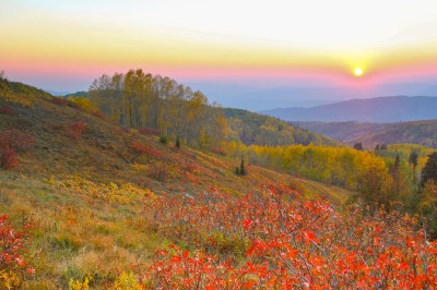 Rainbow Ridge - Buffalo Pass